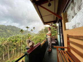 Rainforest View